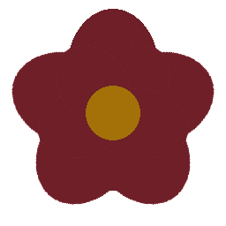 Ancolia